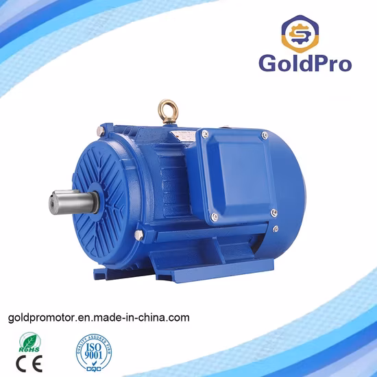 Anp Cast Iron Aluminum Body Y2 Y Ye2 Yc Yl Y3 0.12kw-350kw Asynchronous GOST Standard Three Single Phase Induction Copper Wire AC Electrical Electric Motor