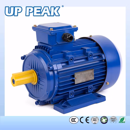 Three Phase Electric Motor CCC CE for Pump Fans, OEM High Efficiency Motor