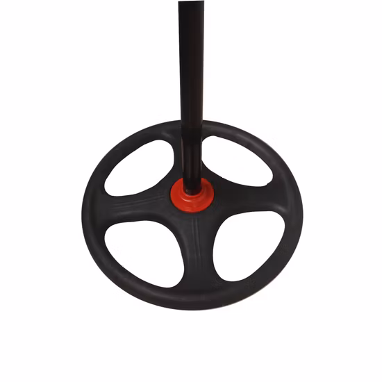 Stand Fan 220V Pedestal Fan DC Motor -Free Speed -Regulating Frequency