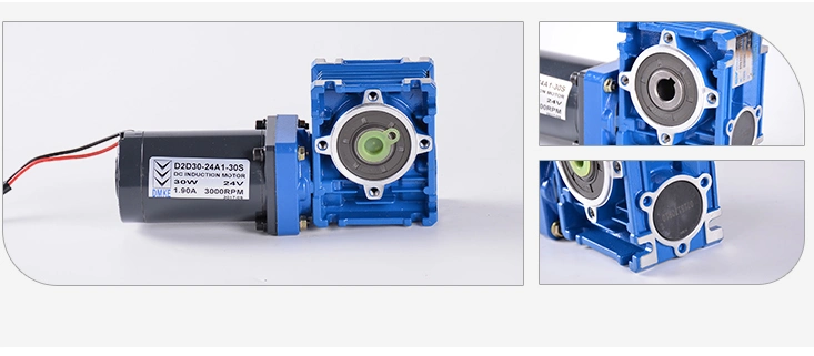 12 24 V Brush Electric Worm Motor Manufacturer Totally Enclosed 30W 40W Permanent Magnet Brush DC Worm Gear Reducer Motor