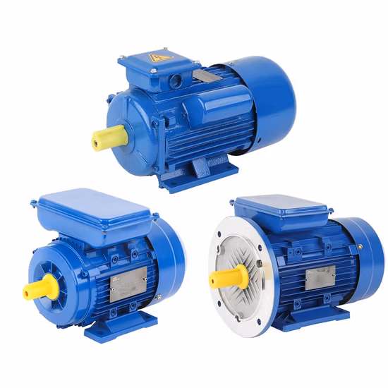 1HP、2HP、3HP、4HP、5.5HP、7.5HP、10HP、15HP、20HP、25HP、30HP、40HP、50HP、60HP、75HP、100HP三相誘導AC非同期電動機
